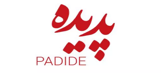 نگين چوب پديده